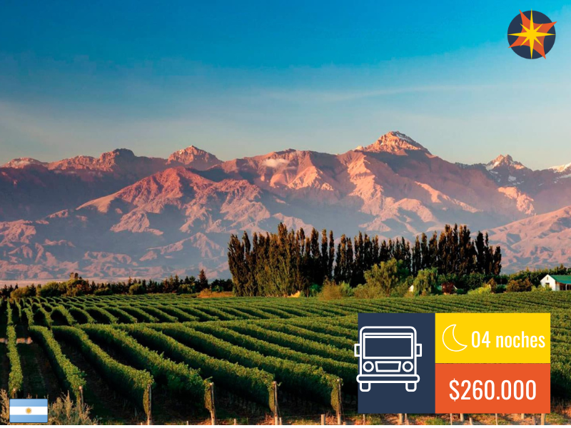 MENDOZA BUS / 03 Noches / 2025 🚌