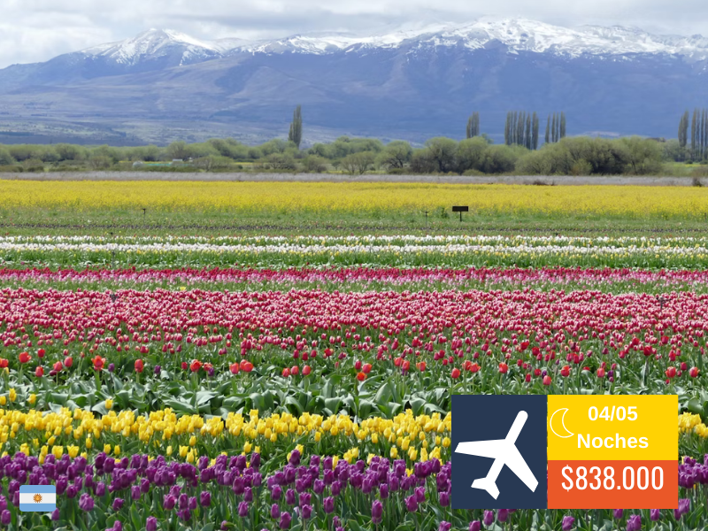 BARILOCHE – EL BOLSON Y CAMPO DE TULIPANES – 2025 ✈️