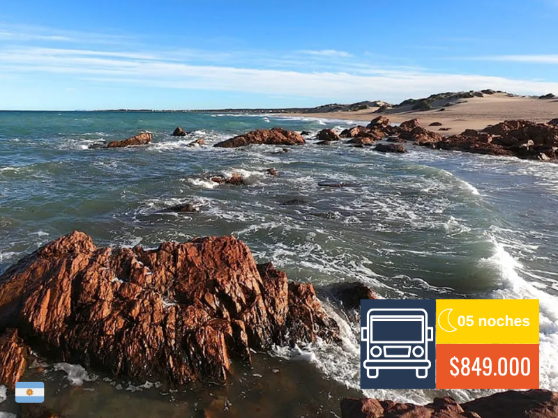 TREN PATAGONICO, PUERTO MADRYN Y BARILOCHE – 05 NOCHES – 2026 🚌
