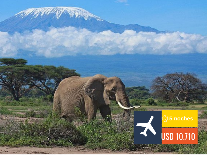KENIA Y TANZANIA 2026✈