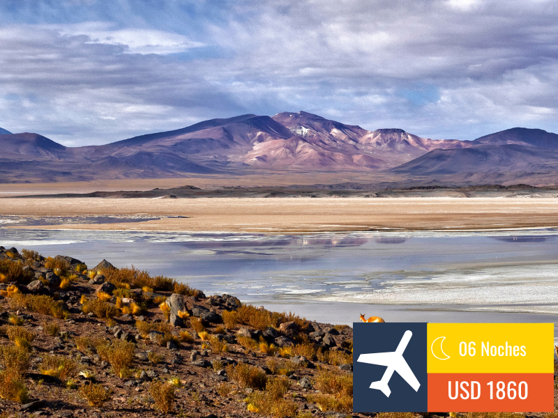 Solas & Solos – San Pedro de Atacama – Chile 🇨🇱 – 2026