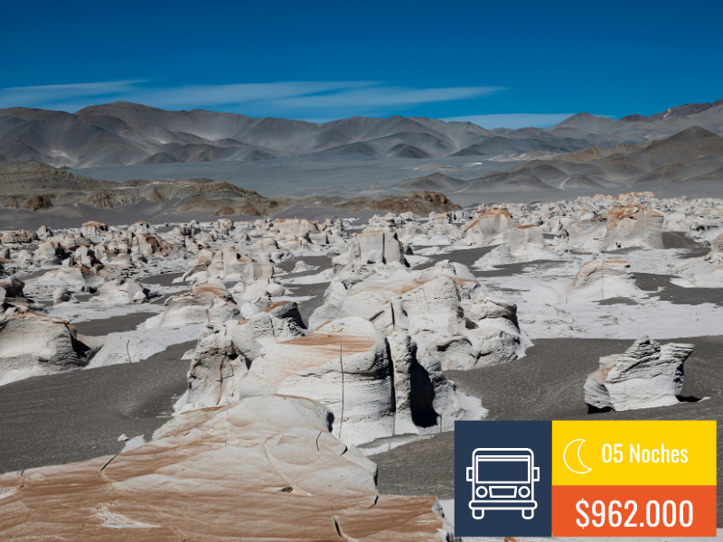 CATAMARCA MAJESTUOSA 🚌​ – 2026